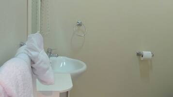 A bathroom with a sink, mirror, towel, toilet paper, and a towel rack.