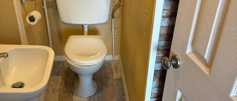 A bathroom with a toilet, bidet, and wooden flooring.