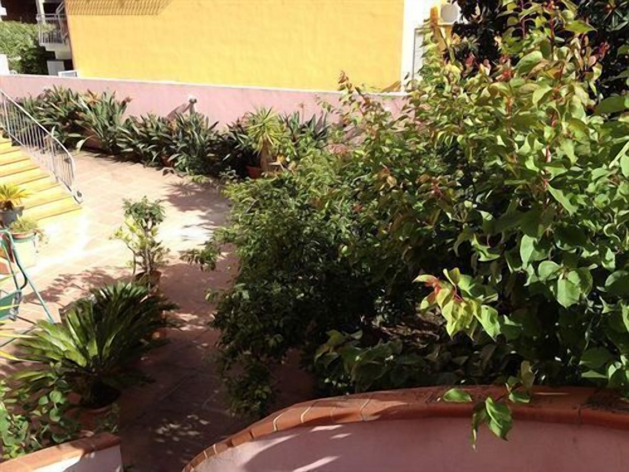 Photo - Affittacamere Ciro's House