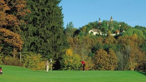 A golf course with a large tree and a building on a hill in the background.