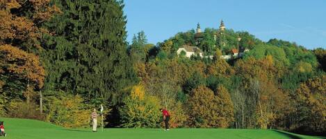 A golf course with a large tree and a building on a hill in the background.