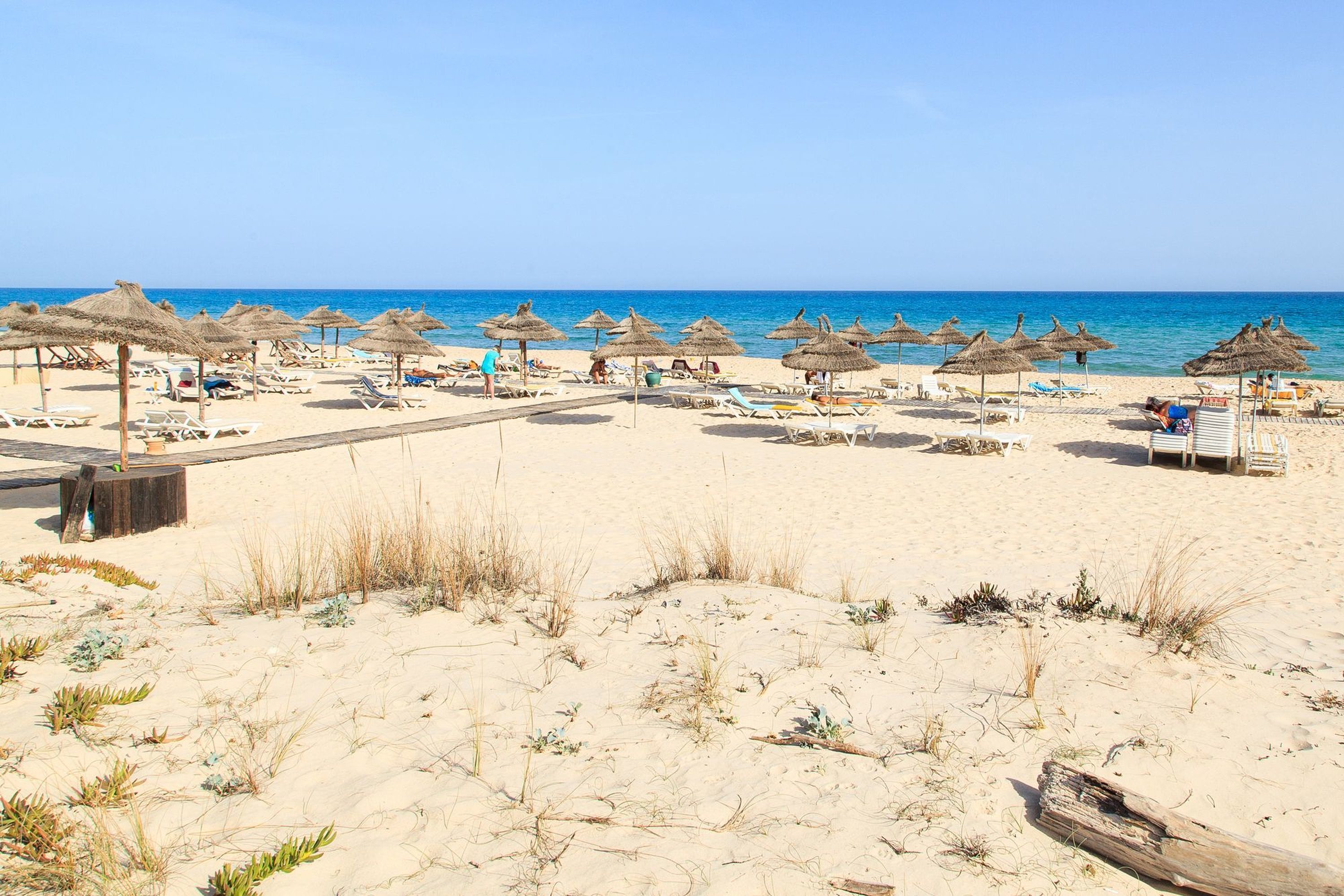 A beach with sun loungers and thatched umbrellas.