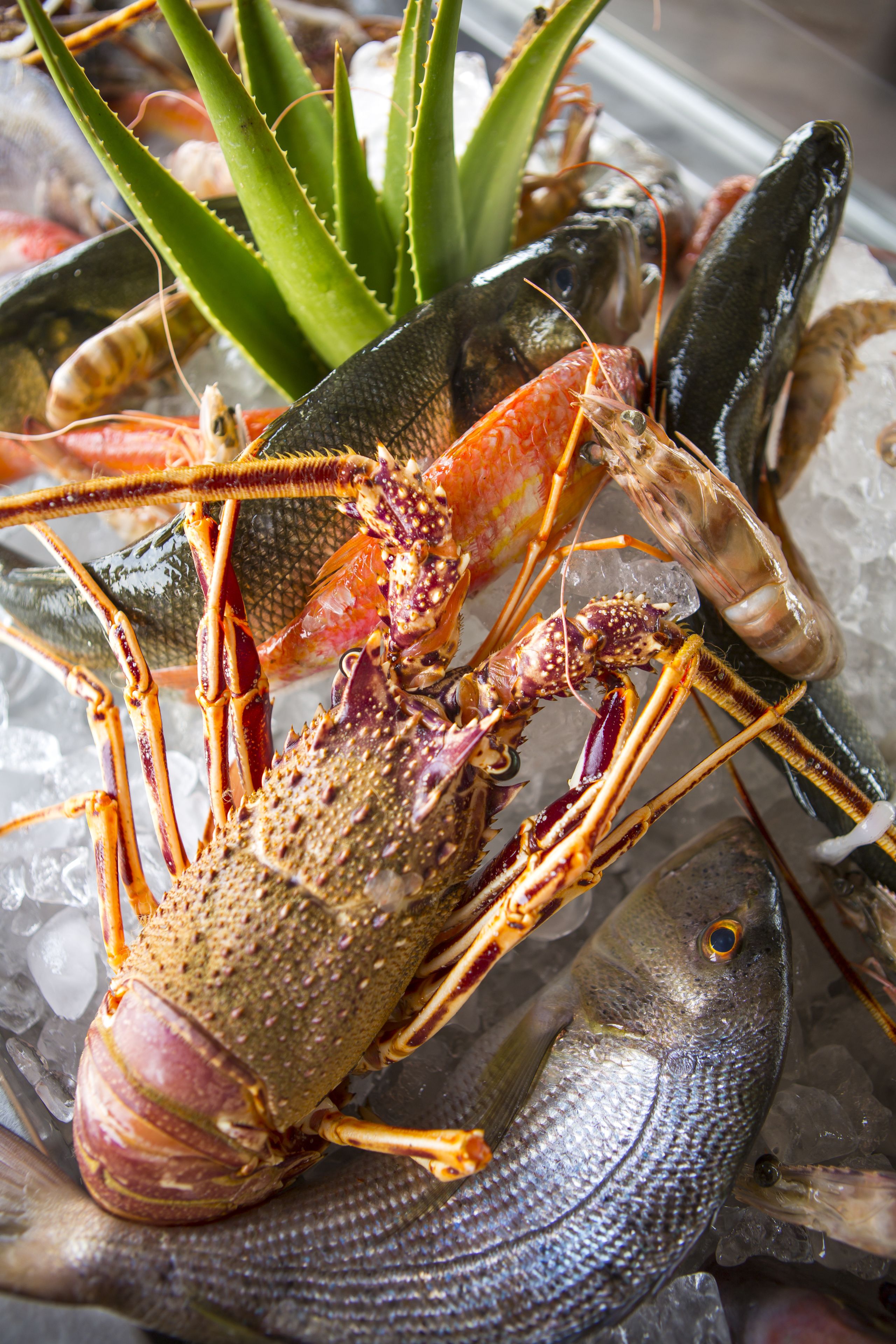 A lobster on ice with a fish and some green plants.
