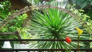 Interior detail - Niu Ohana Garden Resort (Boracay Island)