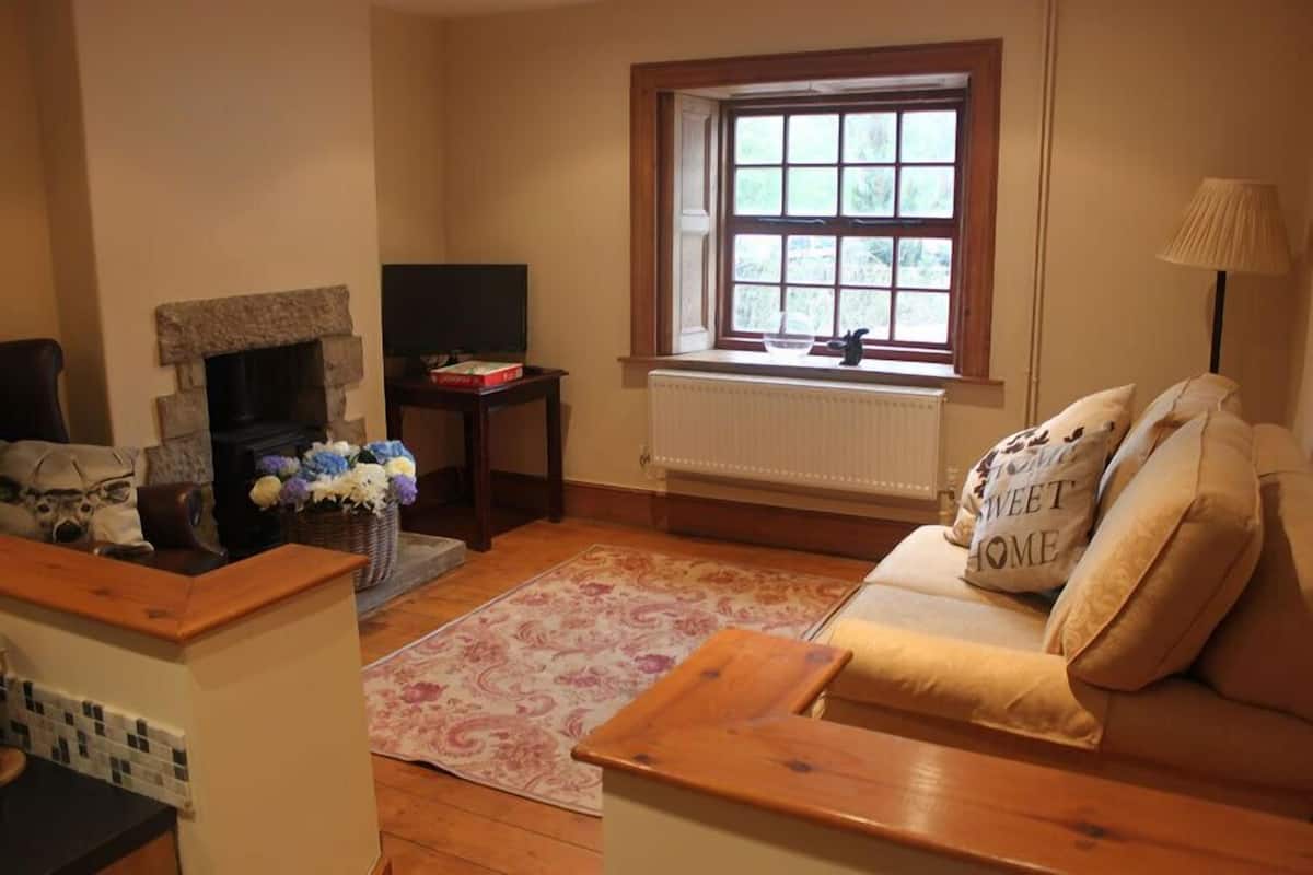 A cozy living room with a fireplace, a sofa, a television, and a window with a view.