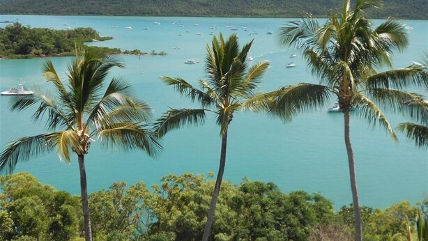 A tropical beach with clear turquoise waters, palm trees, and boats. - Coral Point Lodge (Shute Harbour)