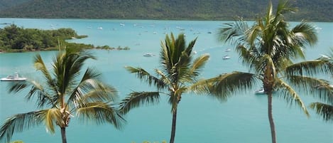 Plage à proximité, serviettes de plage