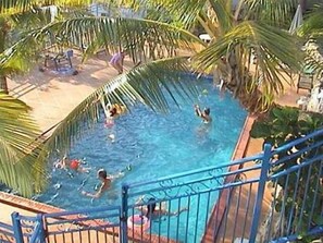 A swimming pool surrounded by palm trees and a blue railing. - Coral Point Lodge (Shute Harbour)