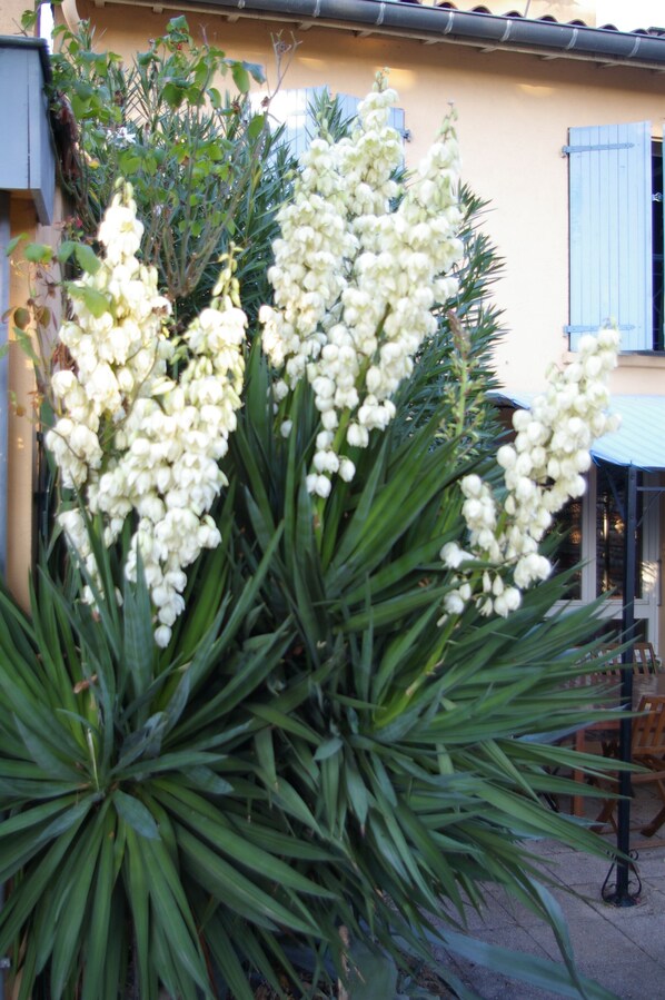 Garden - La Cognee (Cugnaux)