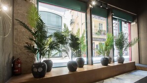 Zona de recepción con un banco de madera, plantas en macetas, un extintor y vistas a la calle a través de amplios ventanales.