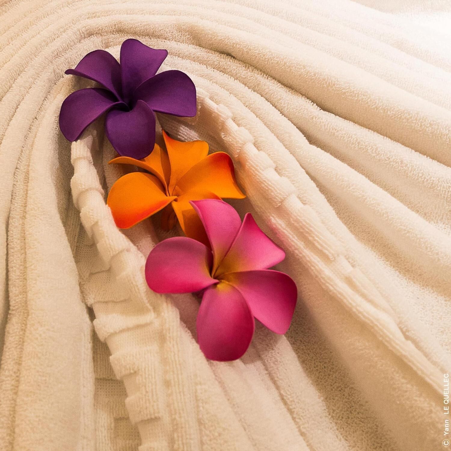 free toiletries, hair dryer, slippers, towels