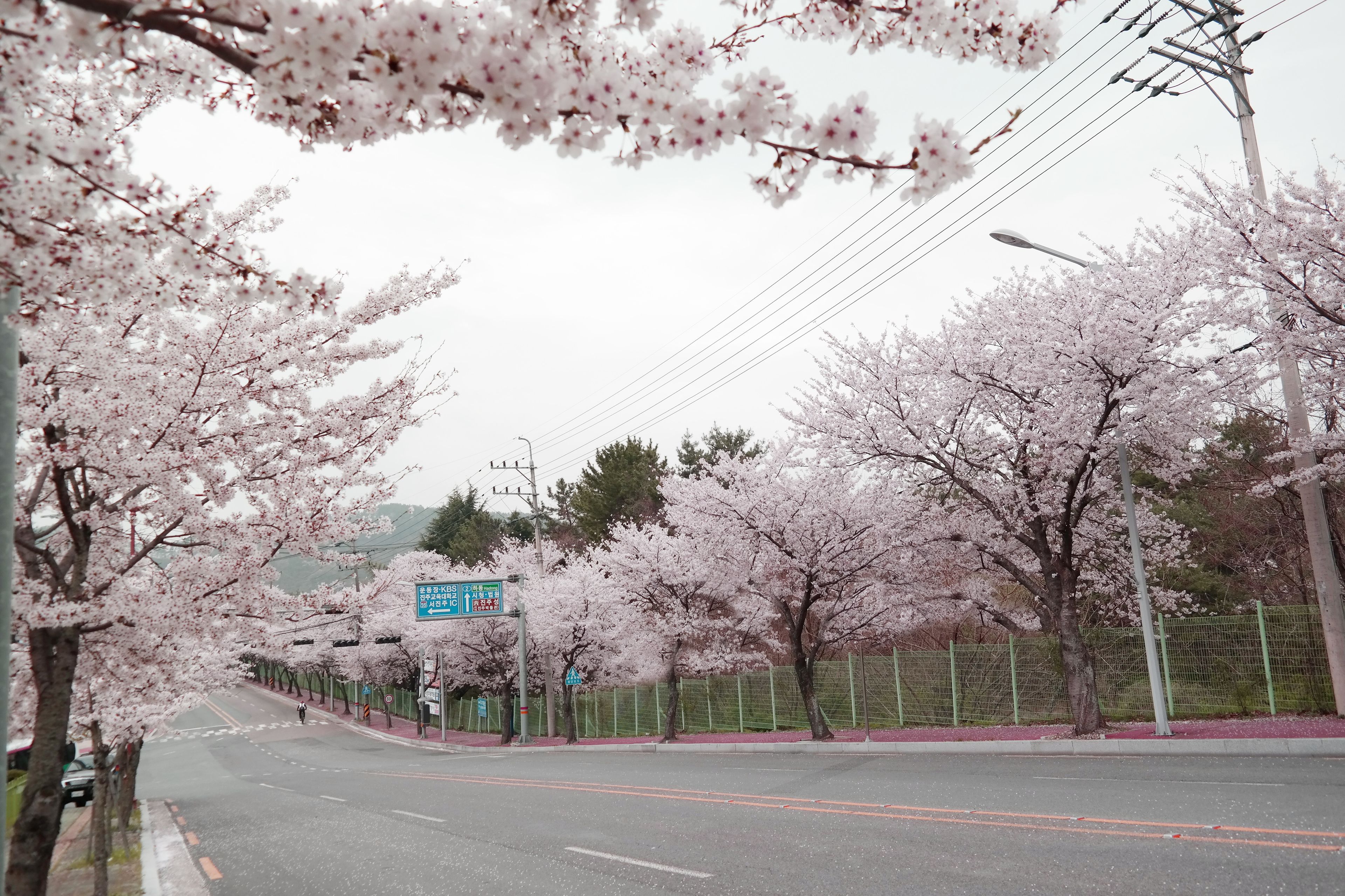 premium bedding, down duvets, in-room safe, individually decorated