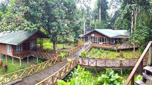 Un puente de madera que une dos cabañas en un frondoso bosque verde.