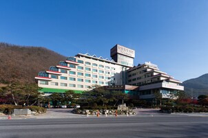 A multi-story hotel with a modern design, featuring a prominent entrance and a landscaped area with rocks and shrubs.