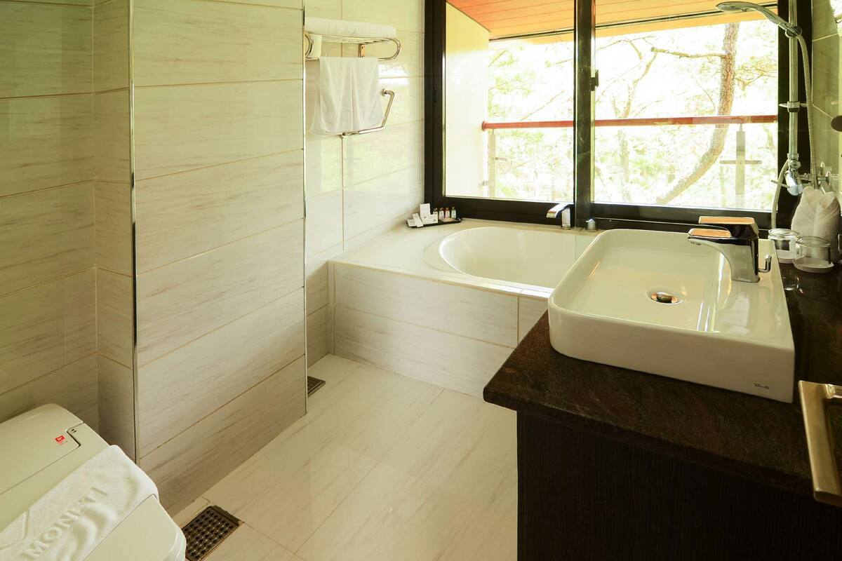 minibar, in-room safe, desk, free wifi