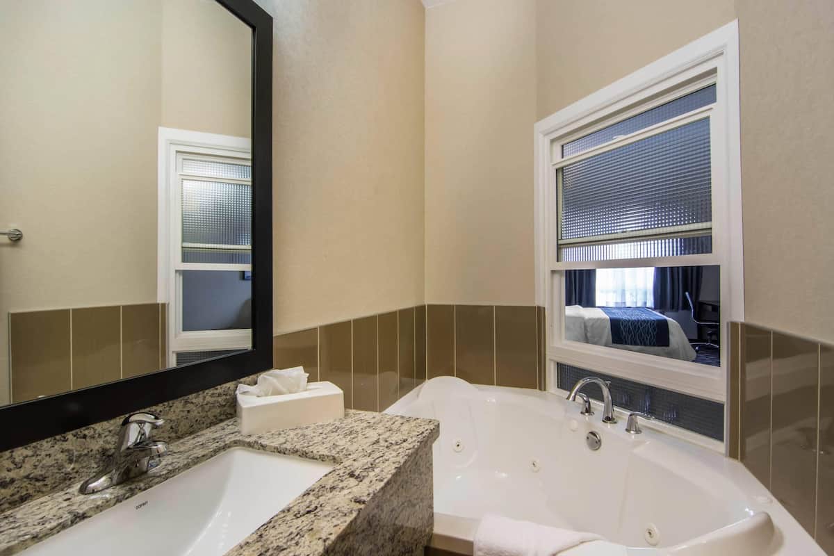 A bathroom with a granite countertop sink, a large mirror, a window with blinds, and a visible bed in the reflection.