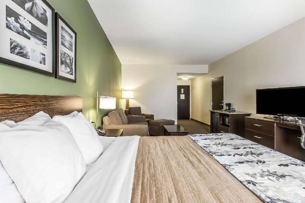 Ein Hotelzimmer mit Bett, einer Couch, einem Schreibtisch, einem Flachbildfernseher und gerahmten Bildern an der Wand.