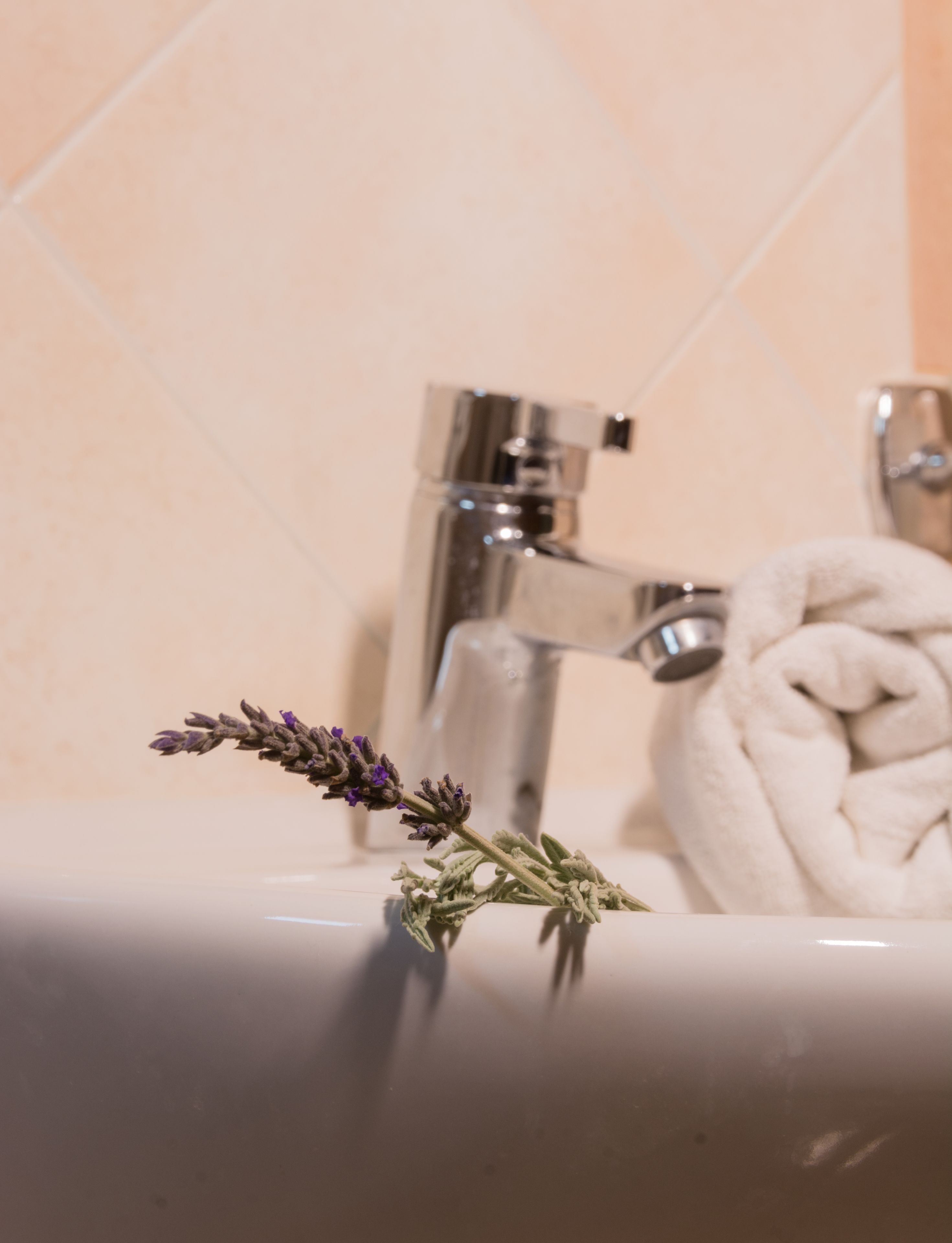 standard room | bathroom sink