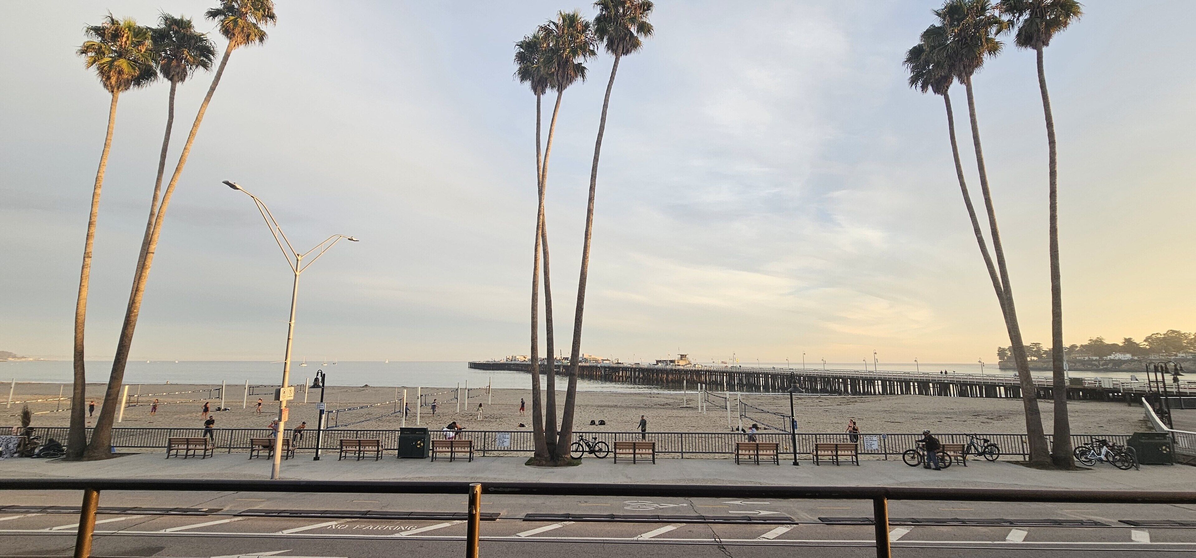 A beach with palm trees, benches, and a pier in the background.