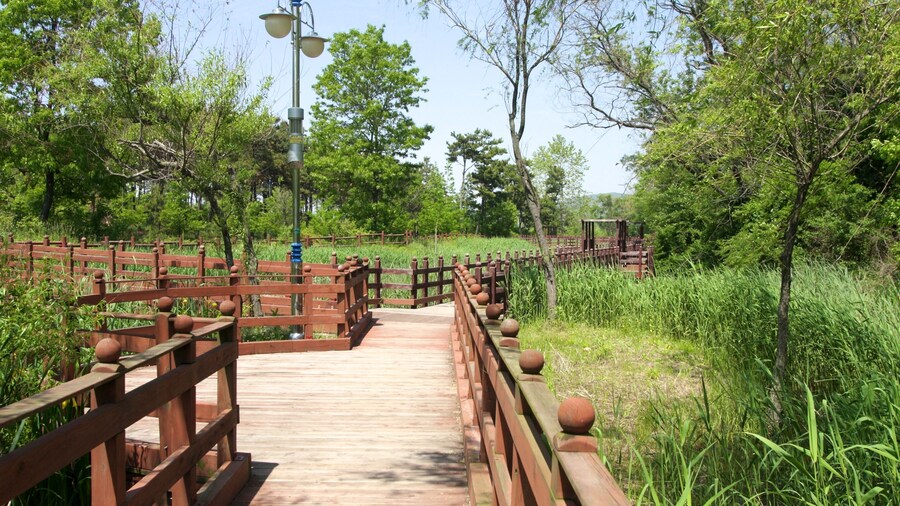 The Hotel Yeong Jong
