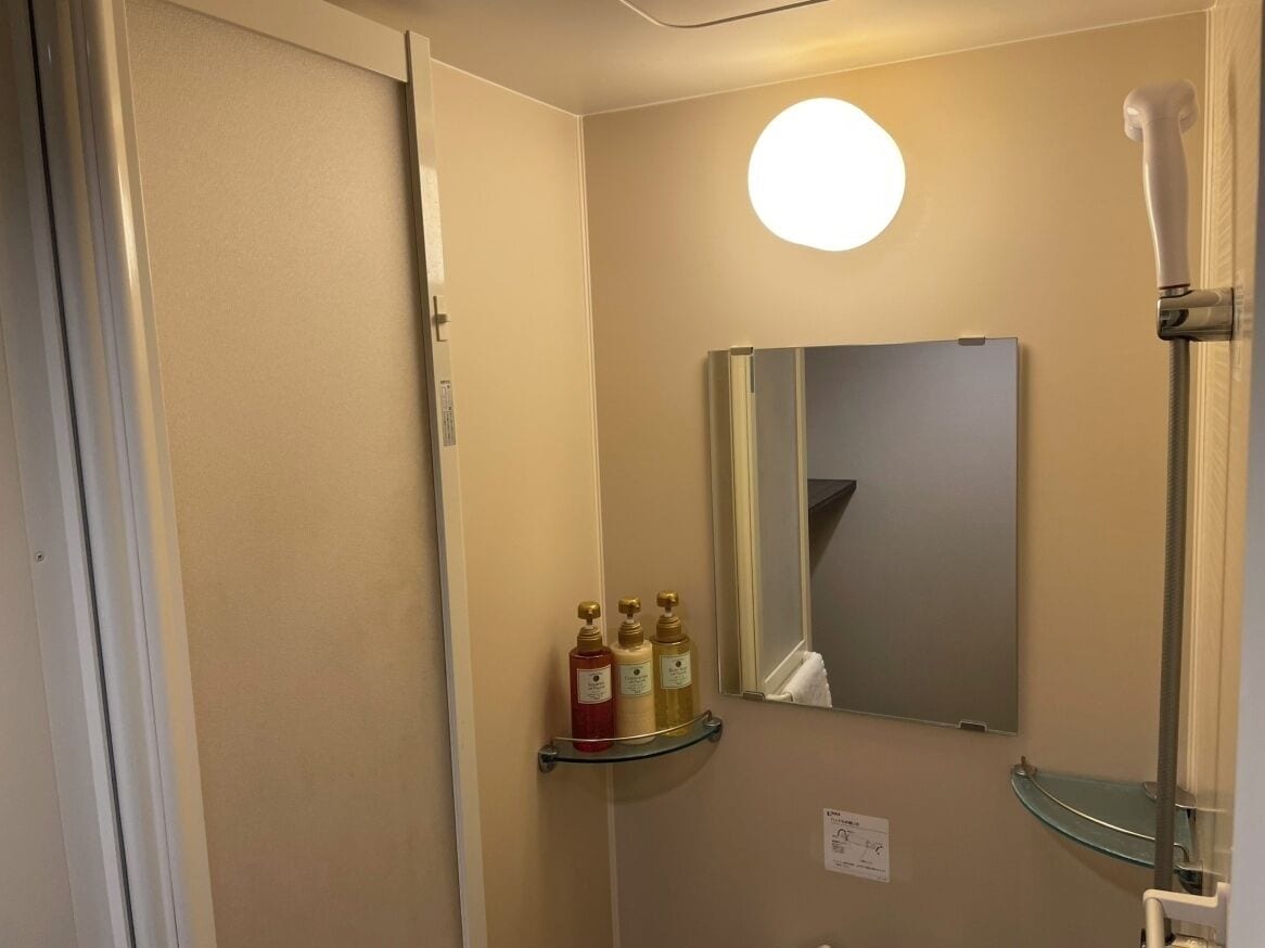 A bathroom with a mirror, a shelf with toiletries, and a shower.