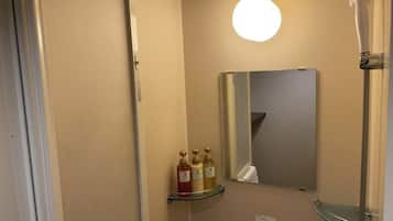 A bathroom with a mirror, a shelf with toiletries, and a shower.