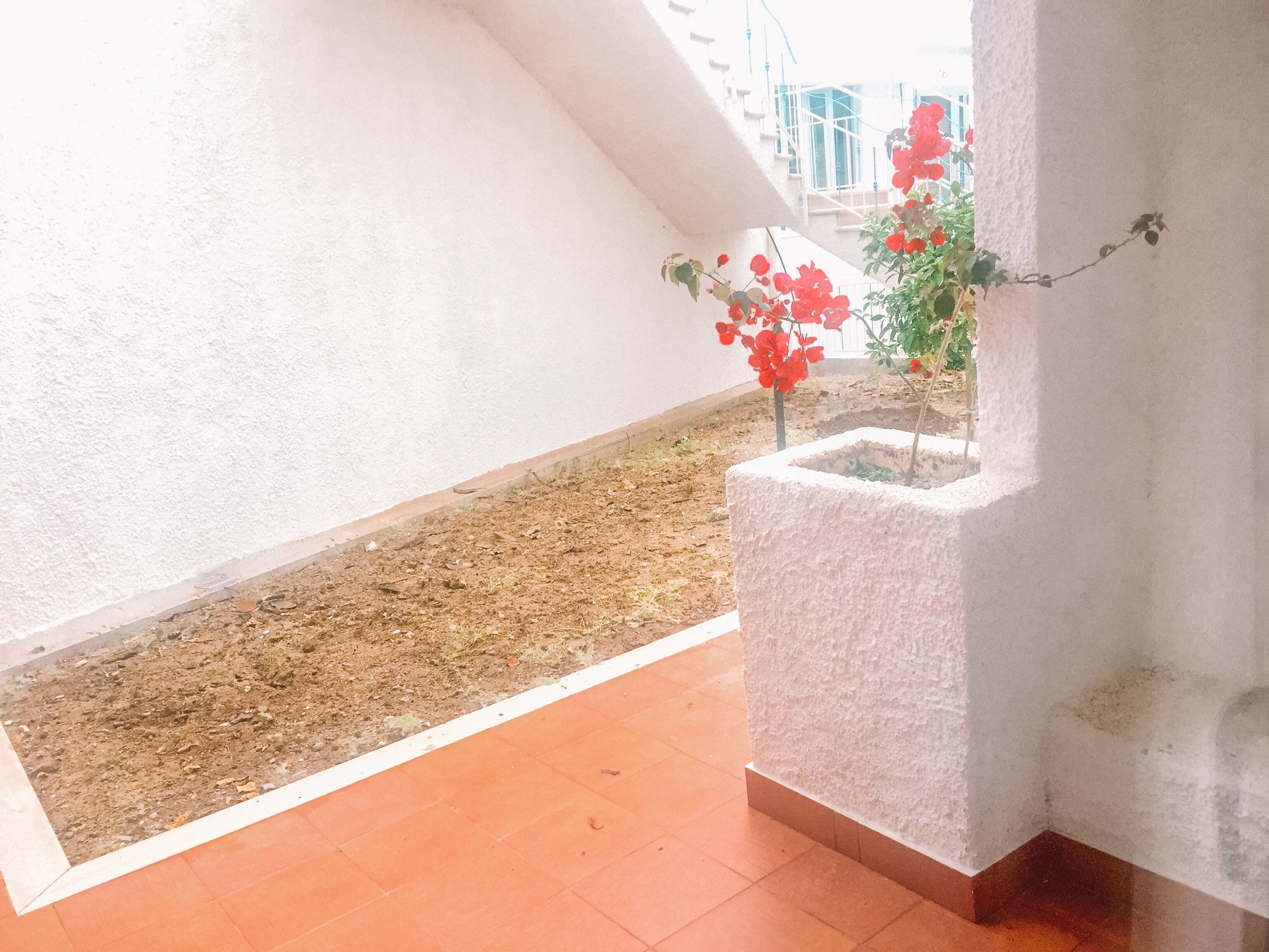 Uitzicht vanuit de kamer