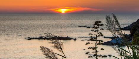 A sunset over a calm sea with rocky outcrops and coastal vegetation.