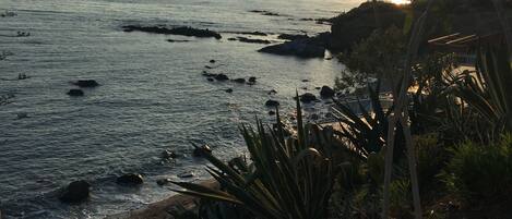 A coastal landscape with a rocky shoreline, vegetation, and the ocean.
