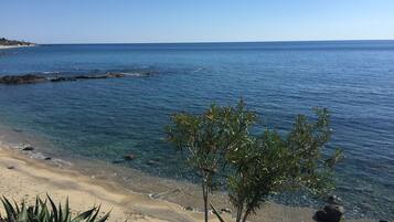 Una spiaggia con acqua cristallina, una riva sabbiosa e un po' di vegetazione sullo sfondo.