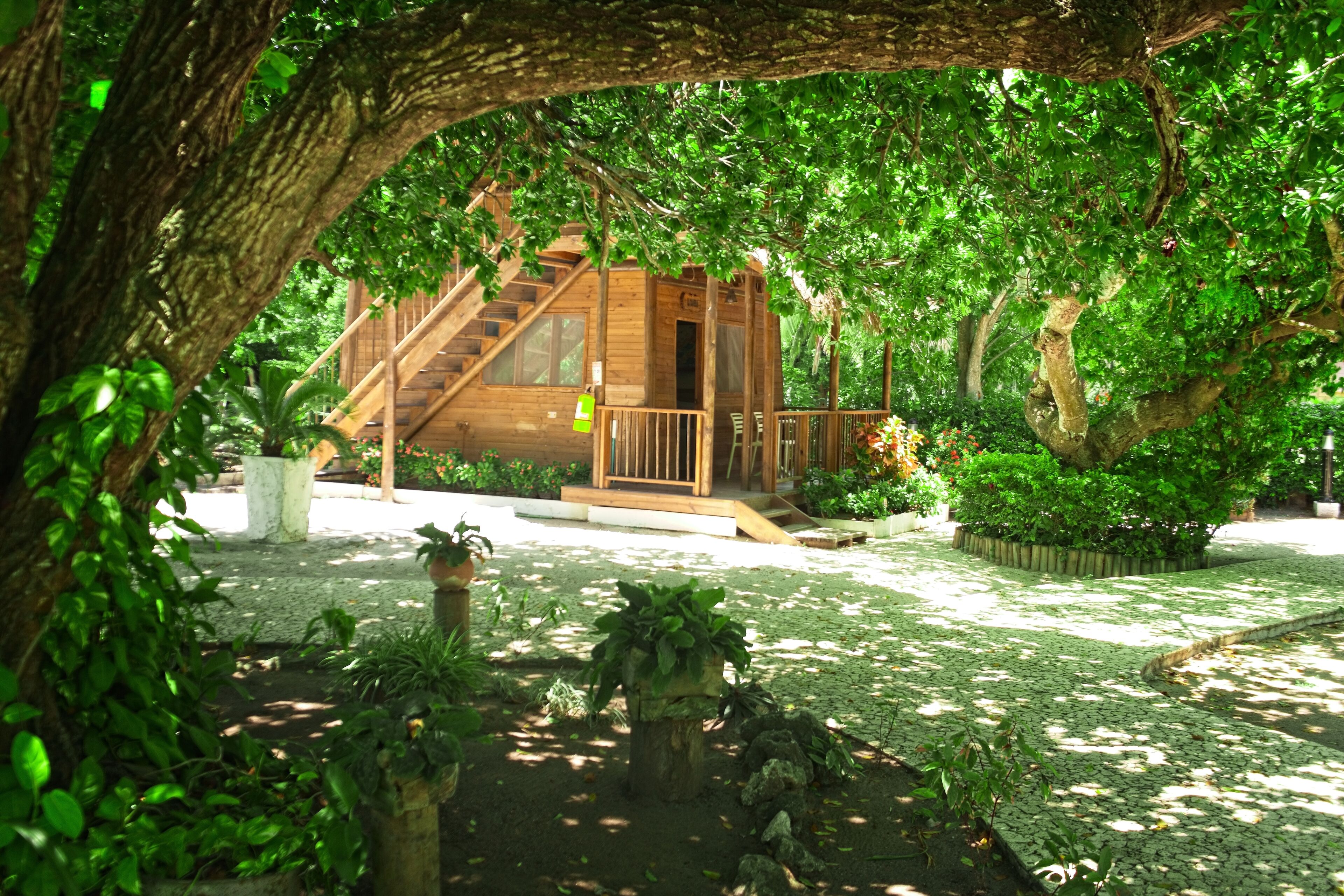 standard room | garden view