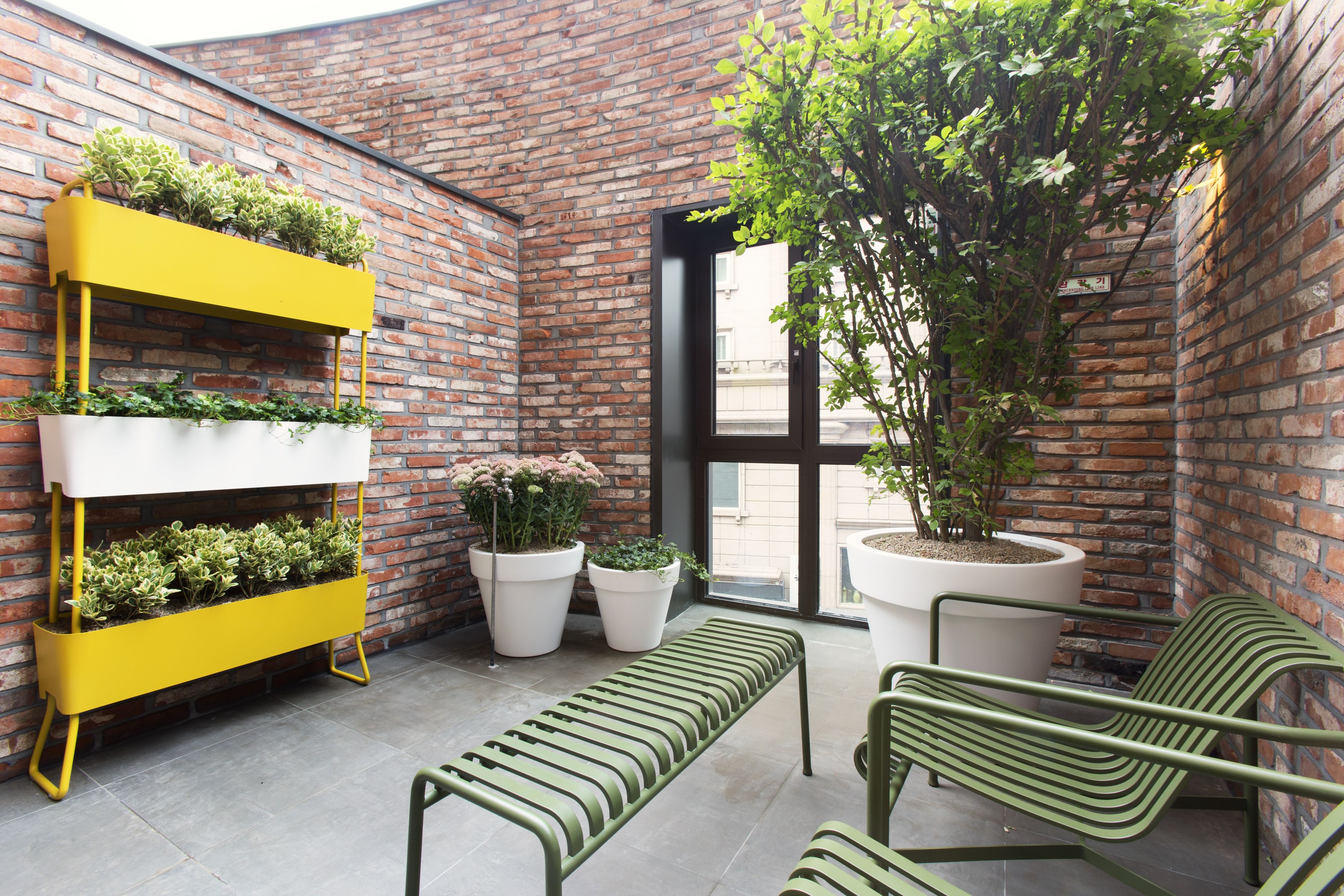 family room (garden) | terrace/patio