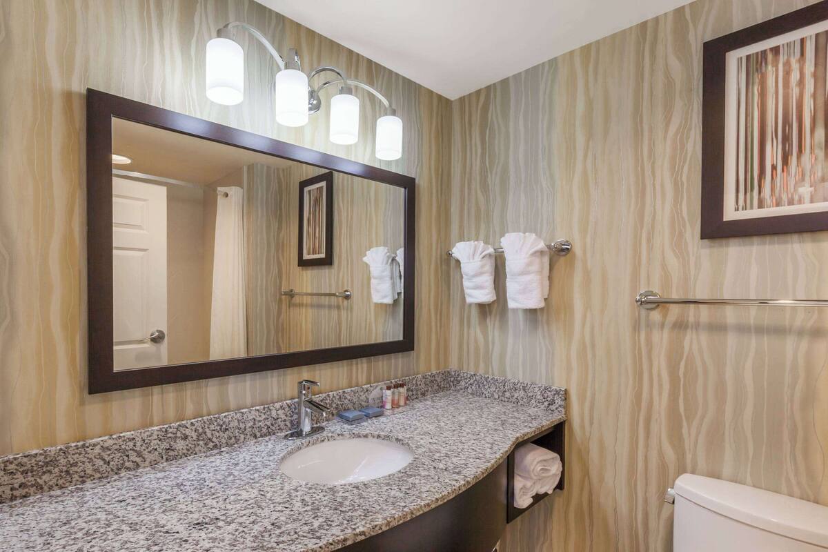 combined shower/bathtub, free toiletries, hair dryer, towels