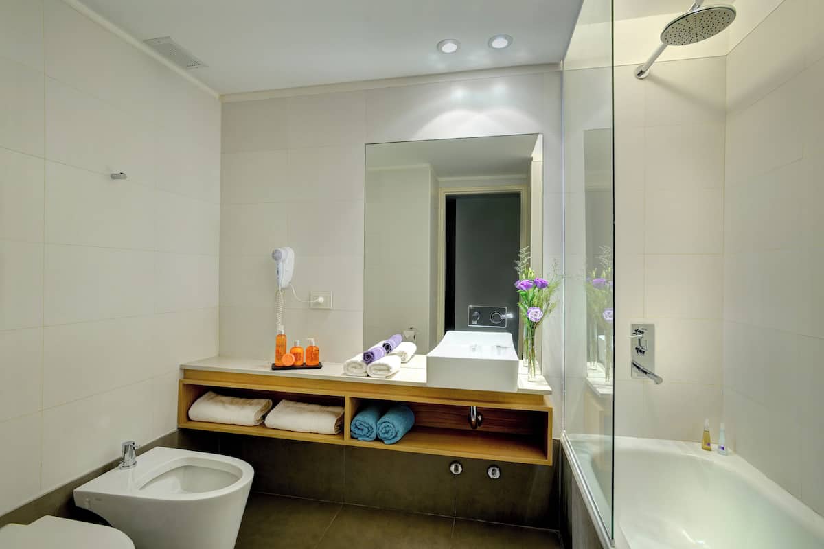 Combined shower/bathtub, free toiletries, hair dryer, bidet