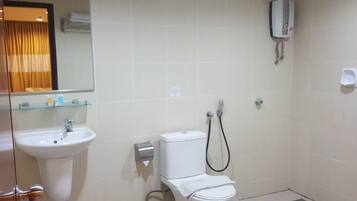 Shower, hair dryer, bidet, towels