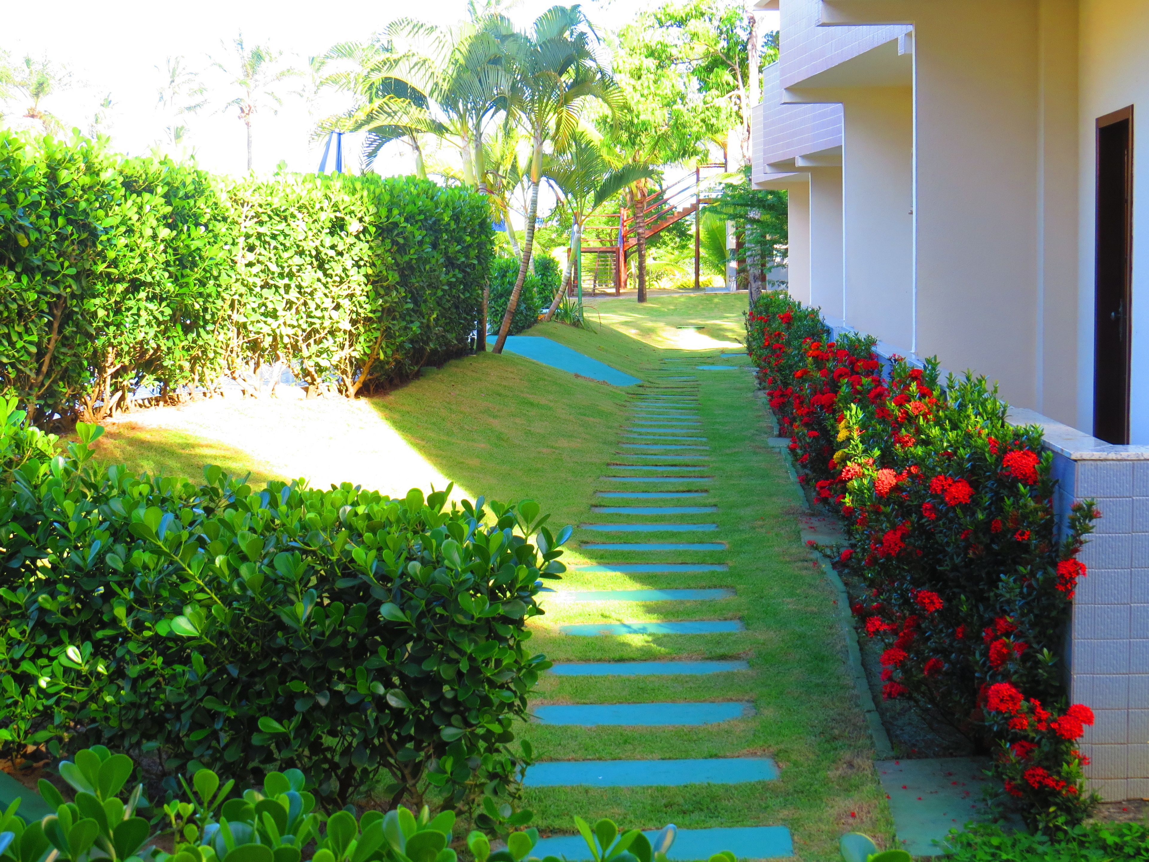 A pathway leading to a building with a white exterior, surrounded by lush greenery and red flowers.