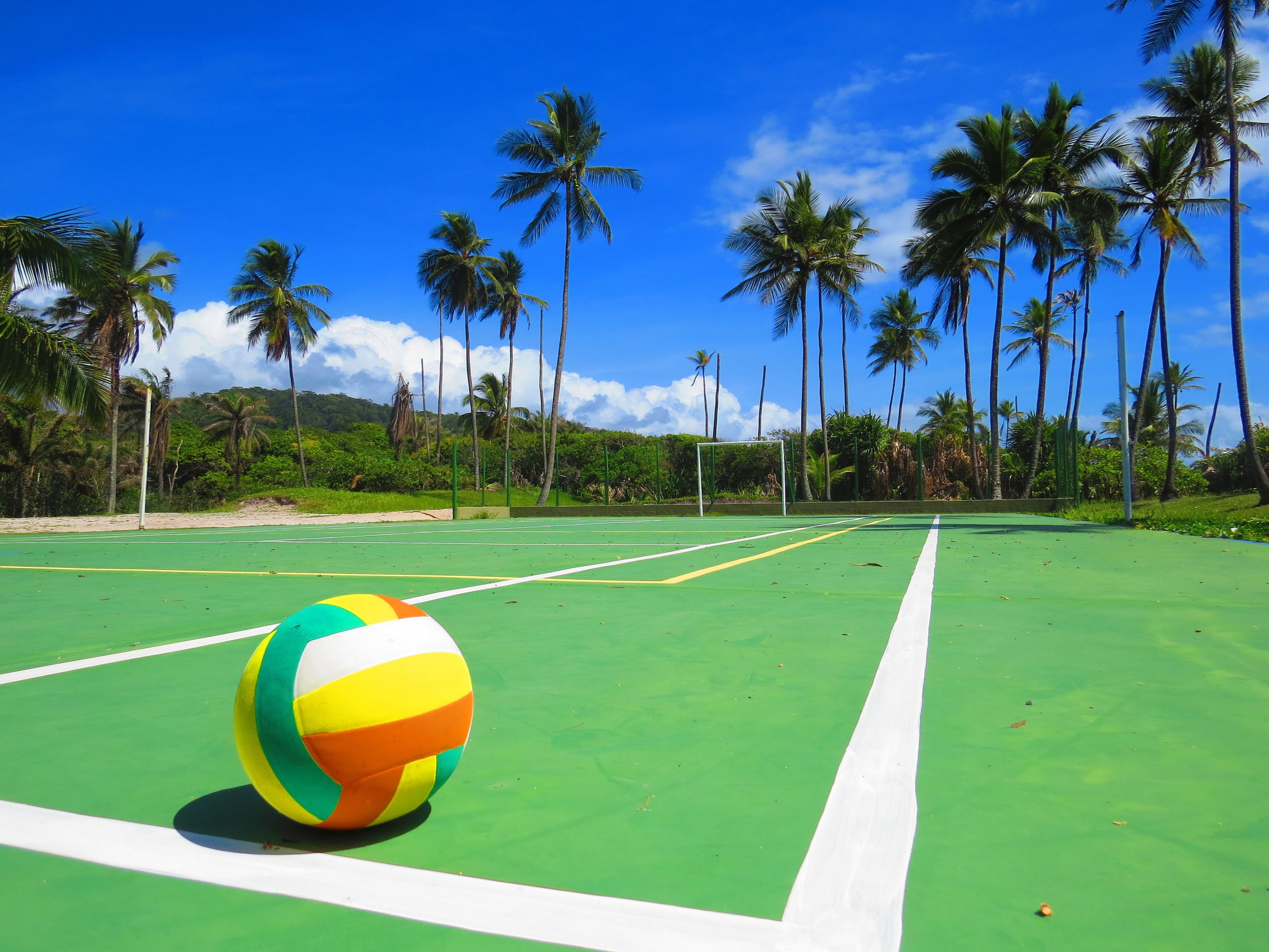 Una cancha de tenis verde al aire libre con un balón de voleibol colorido en primer plano, rodeada de altas palmeras y un cielo azul despejado.