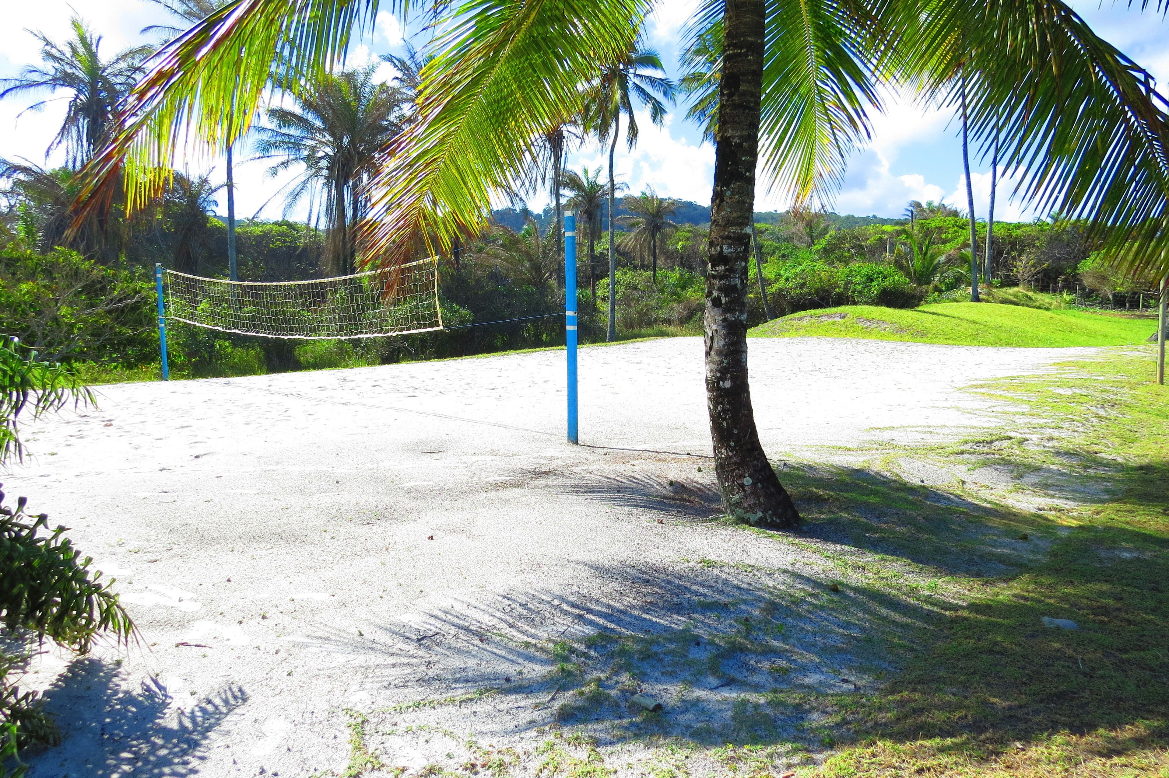 A beach volleyball court with a net, surrounded by palm trees and greenery.