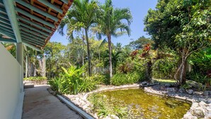 A garden with a pond, palm trees, and a variety of plants. - Pousada Jacarandá (Porto Seguro)