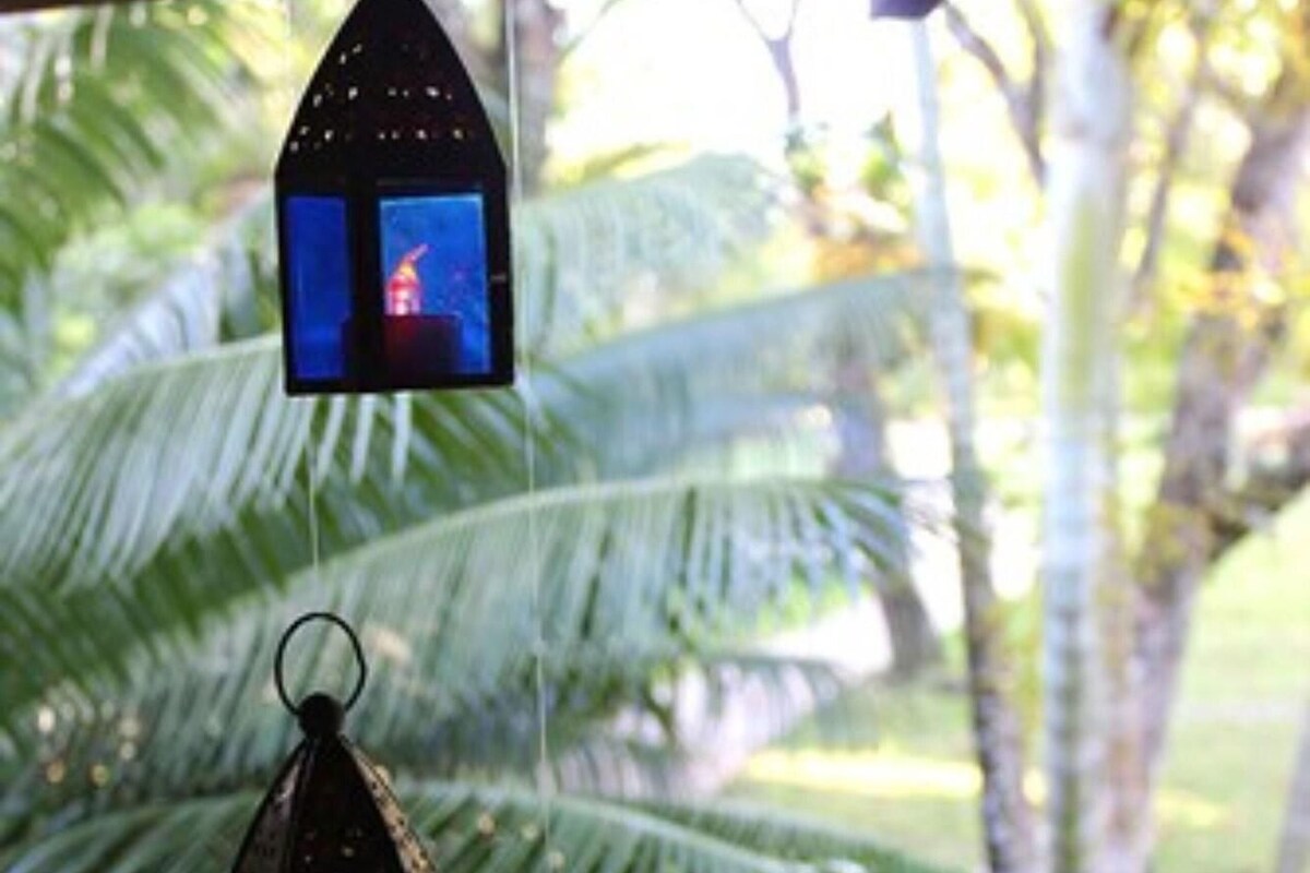 Trois lanternes suspendues, chacune contenant une bougie allumée, sont disposées devant un décor composé de palmiers et d’une fenêtre.