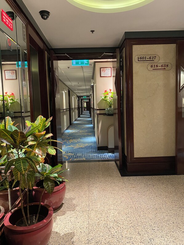 A hotel corridor with a blue carpet, potted plants, and a reception desk with a phone number. - Macau Masters Hotel (Macau)