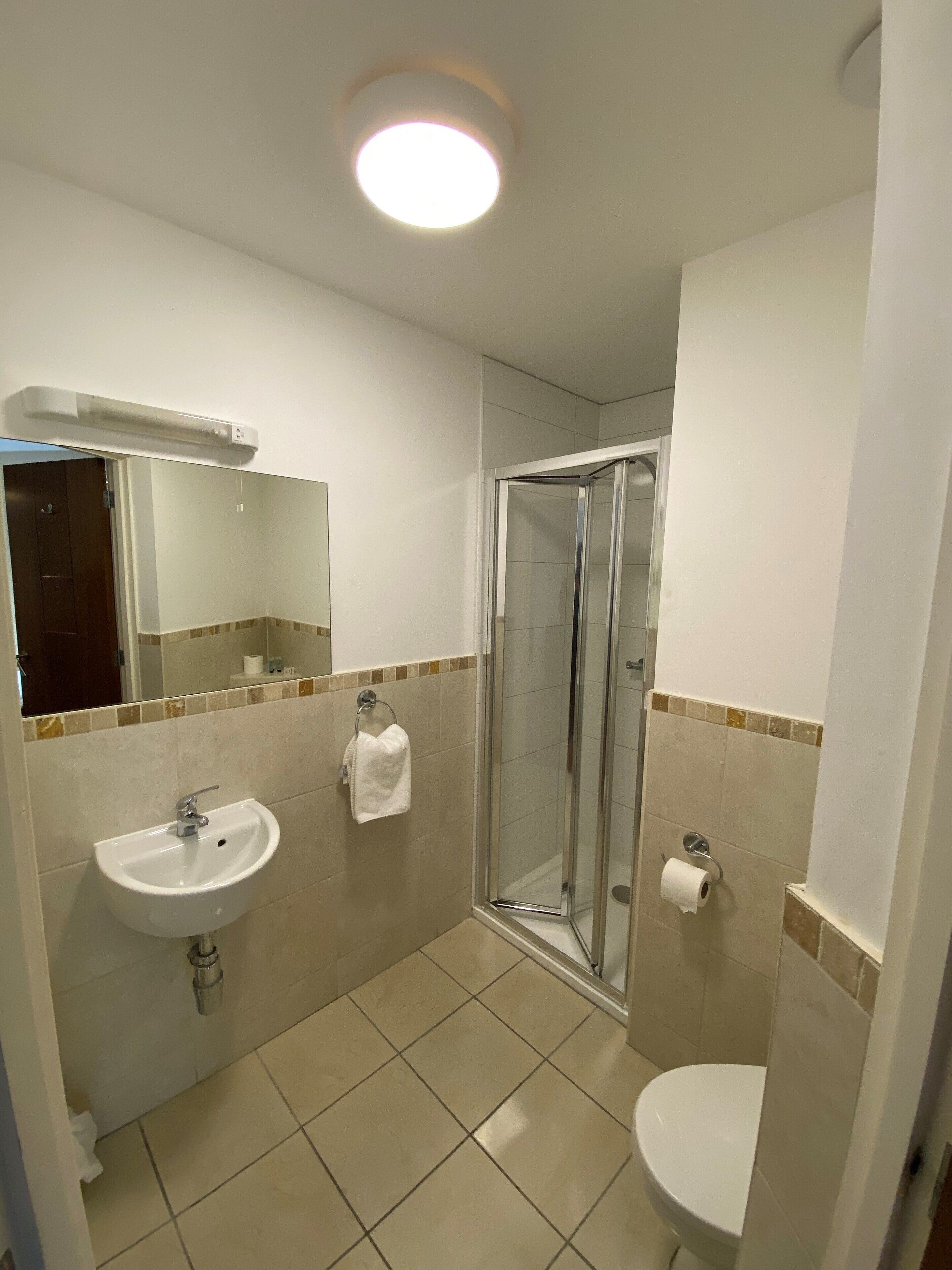 A bathroom with a sink, mirror, shower, and toilet.