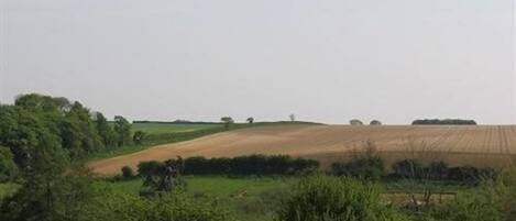A rural landscape with fields, trees, and a dirt path.