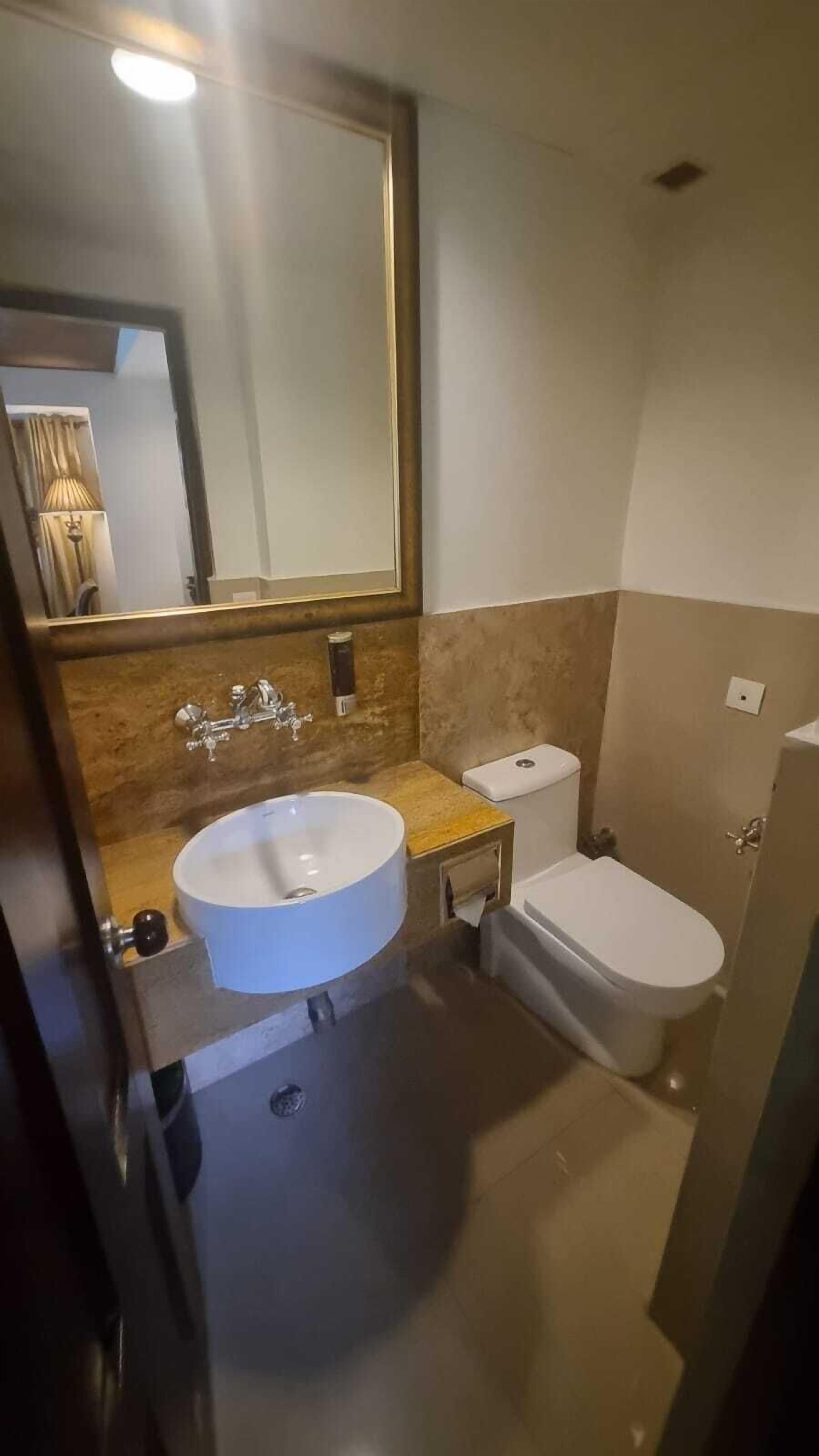 Une salle de bain avec un grand miroir, un lavabo, des toilettes et un espace douche.