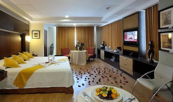 Suite Deluxe | Edredones de plumas, minibar, caja fuerte y mobiliario individual