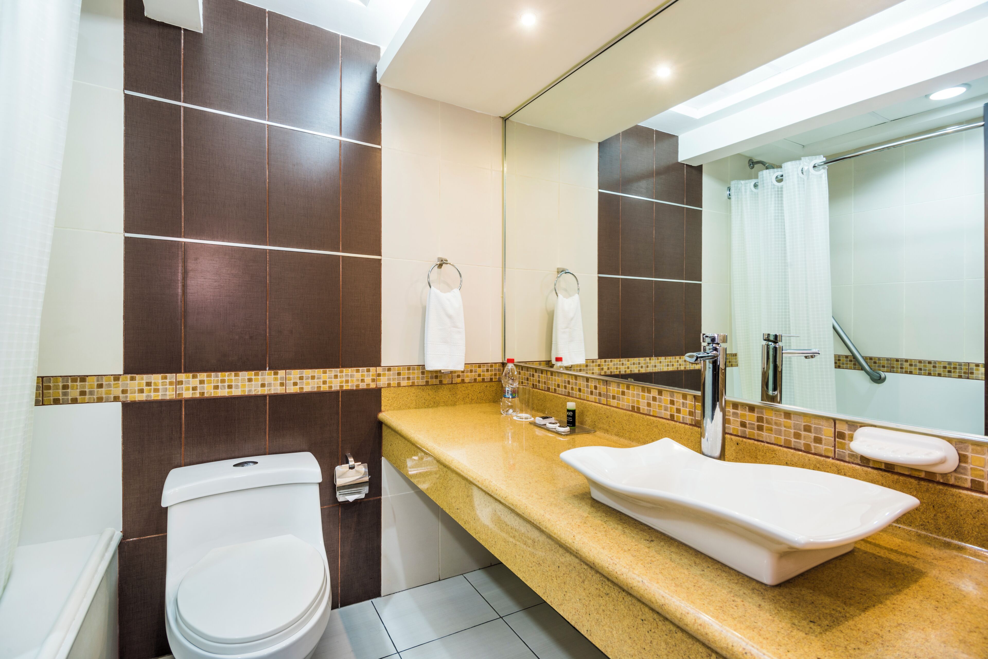 combined shower/bathtub, hair dryer, towels, soap