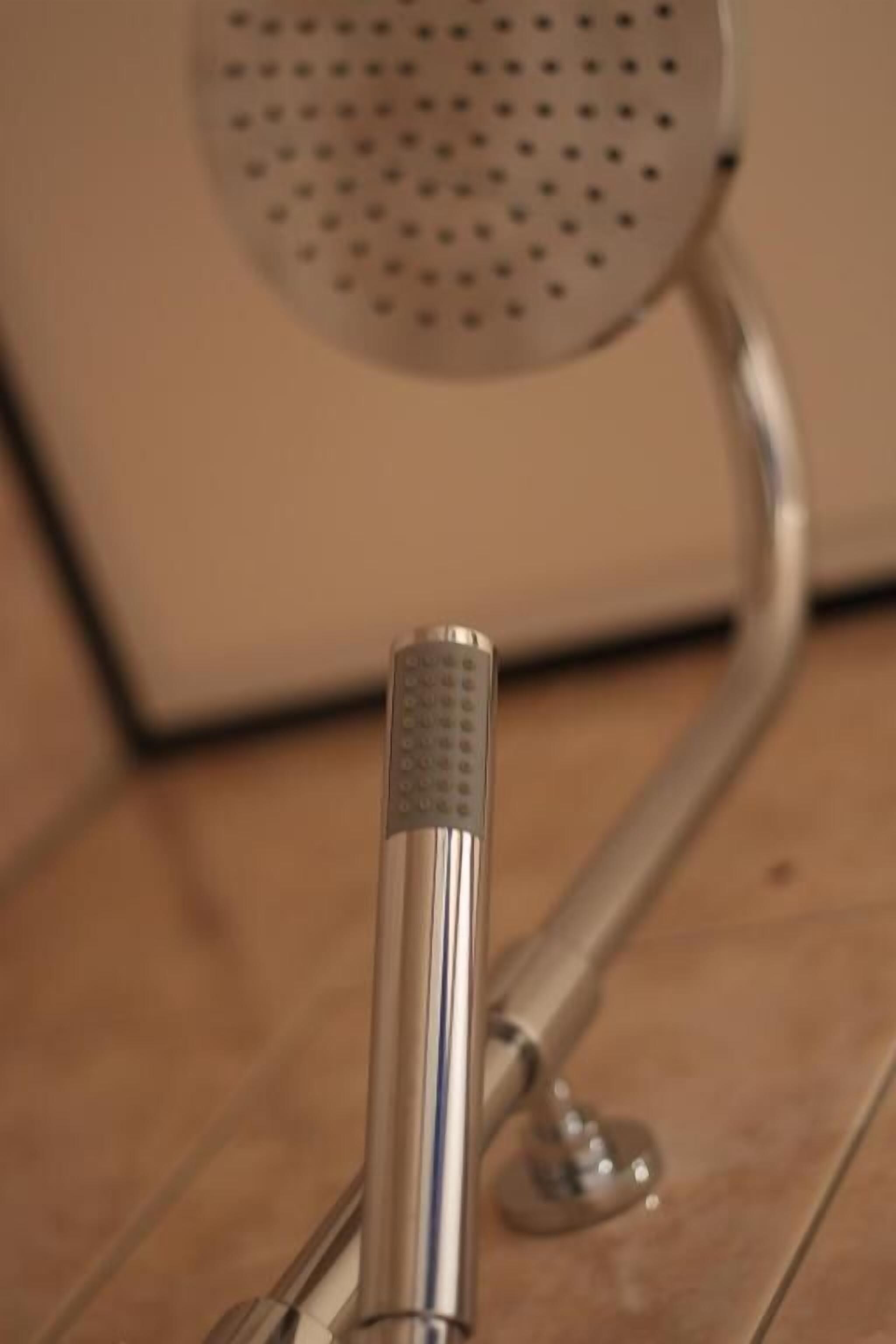 hand-held showerhead
