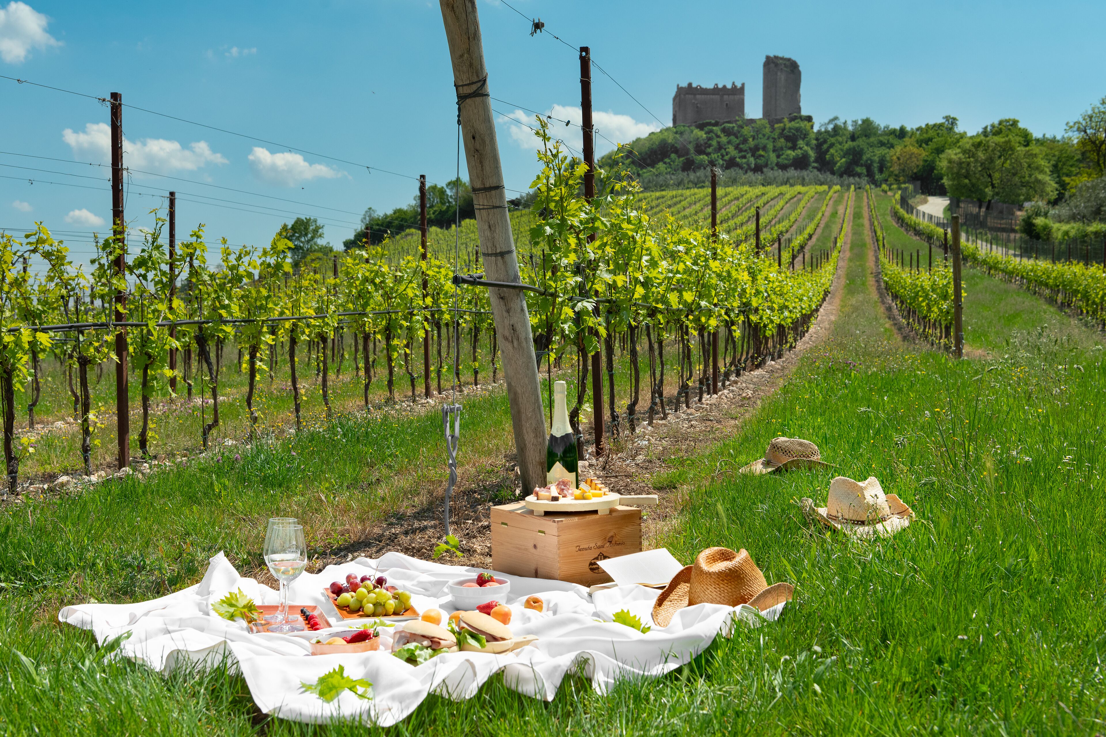 Un coin pique-nique aménagé dans un vignoble, avec un château en toile de fond.