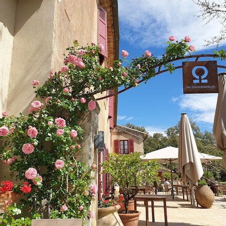 Breakfast, lunch, dinner served; garden views