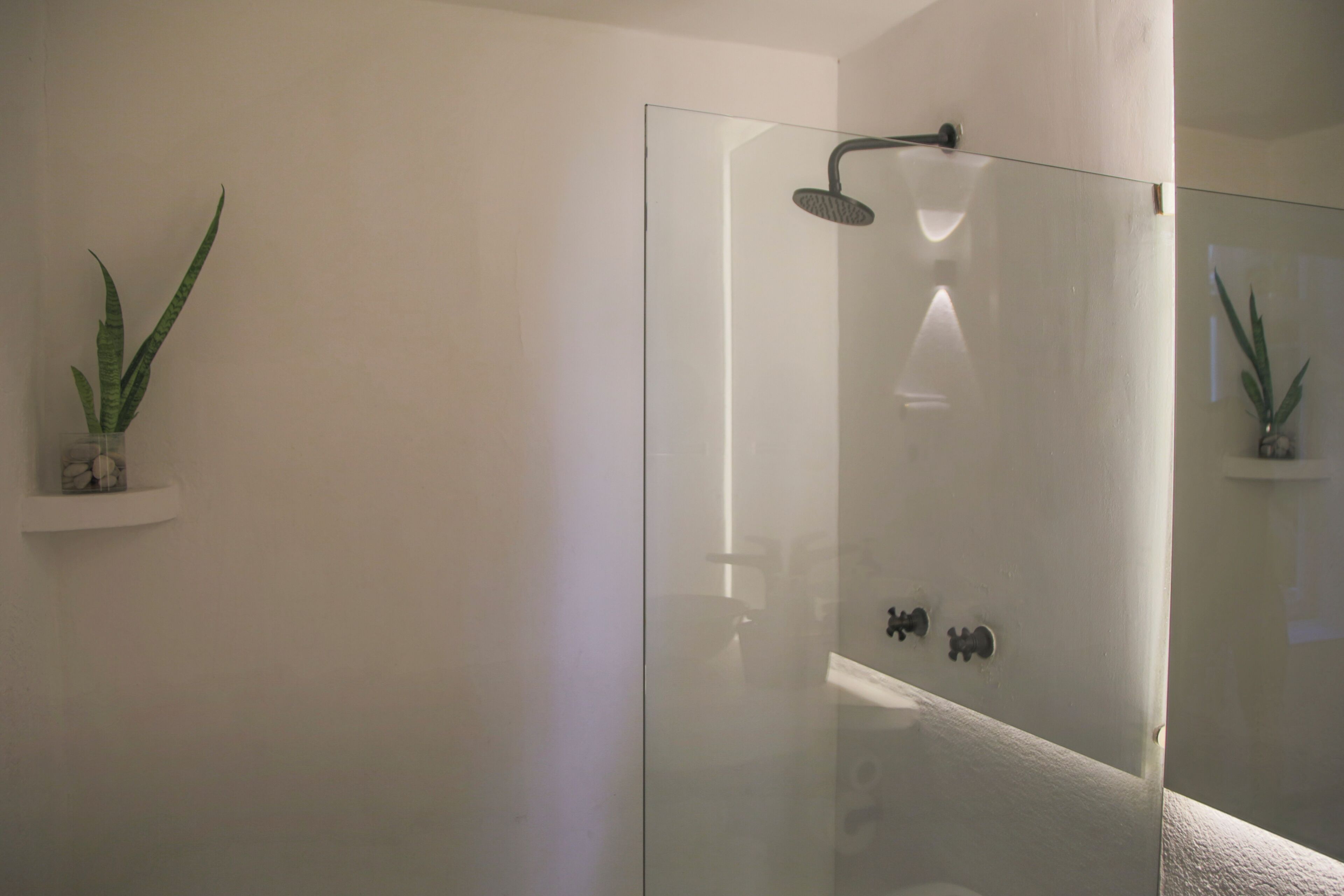 A glass-enclosed shower with a handheld showerhead, a white wall, and two potted plants on shelves.